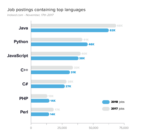 Opportunities and Insights into Software Engineer Jobs