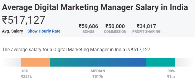 career after bcom - digital marketer