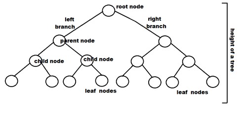 types of binary tree