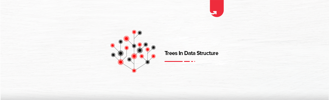 Trees in Data Structure: 8 Types of Trees Every Data Scientist Should ...
