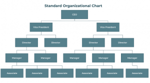 Standard Organisation Chart
