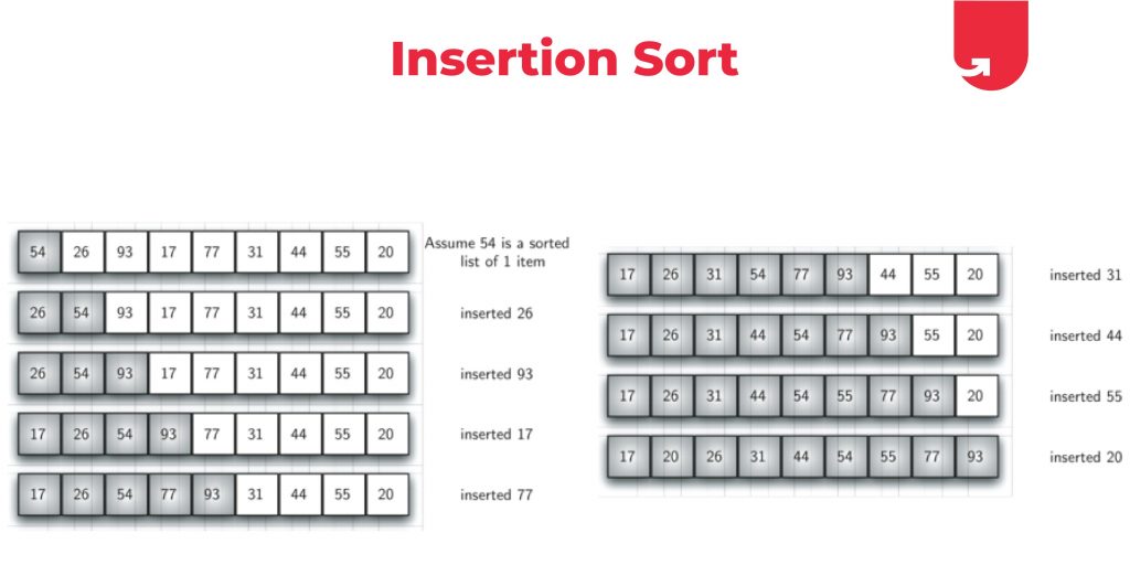 insertion sorting